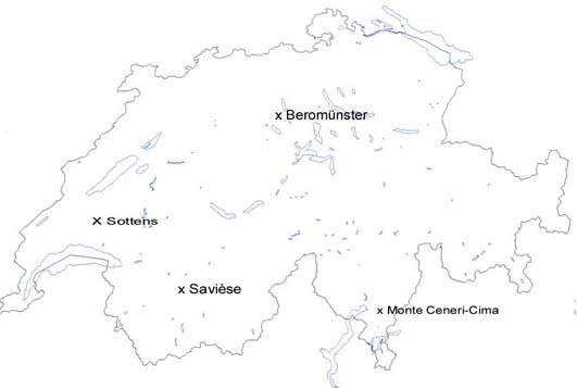 Die 4 MW-Sender der Schweiz